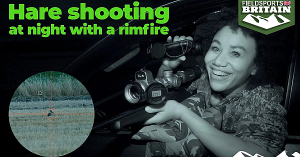 Hare Shooting At Night With A Rimfire