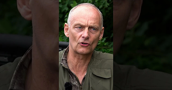 No Welcome For The #squirrels #airrifleshooting