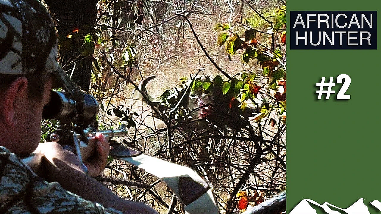 Buffalo - African Hunter Episode 2