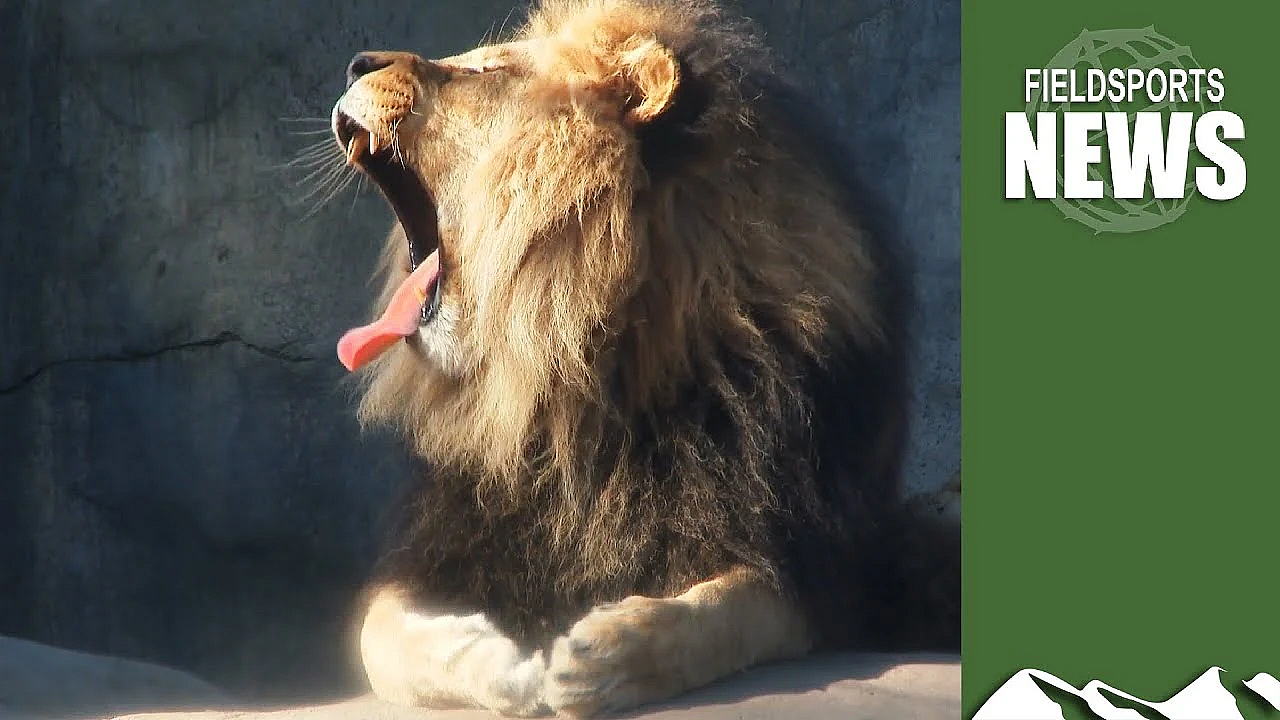 Zoo Plans To Destroy Its Animals