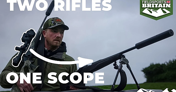 Pest Control: Two Rifles, One Scope
