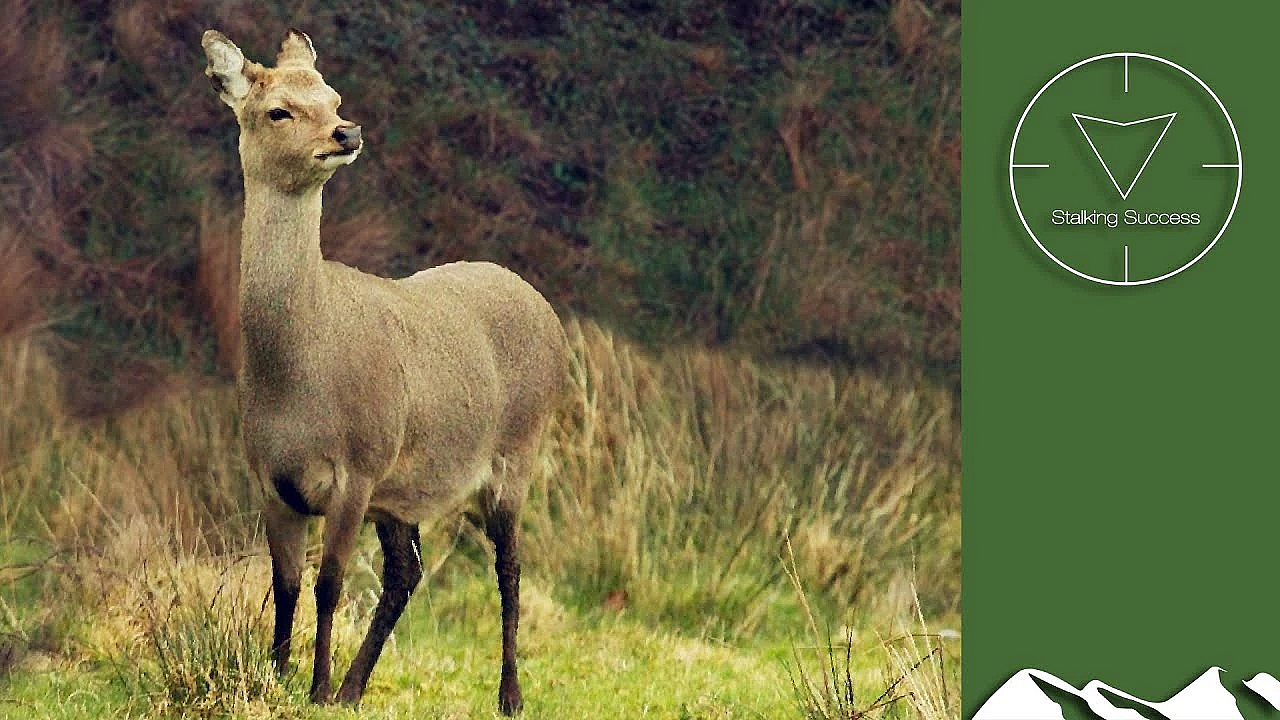 On Test: Savage Arms 110 Lightweight Storm