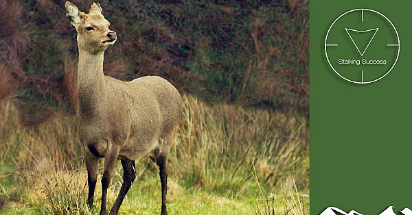 On Test: Savage Arms 110 Lightweight Storm