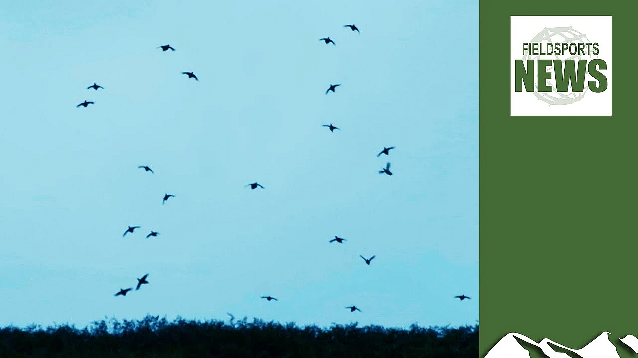 What Will Happen To The 2020 Shooting Season?