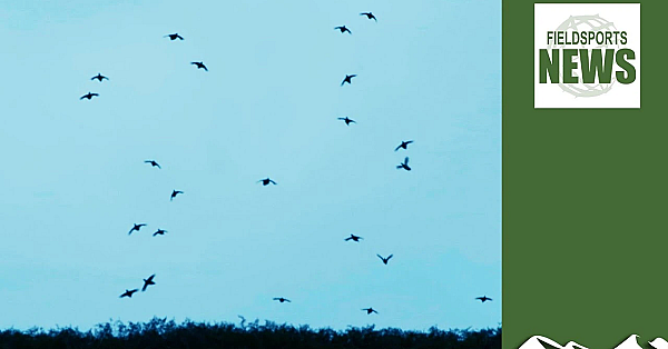 What Will Happen To The 2020 Shooting Season?