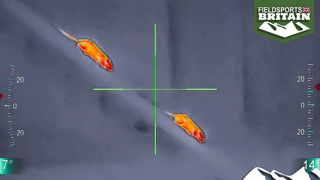 Thermal Airgun Ratting And Mousing