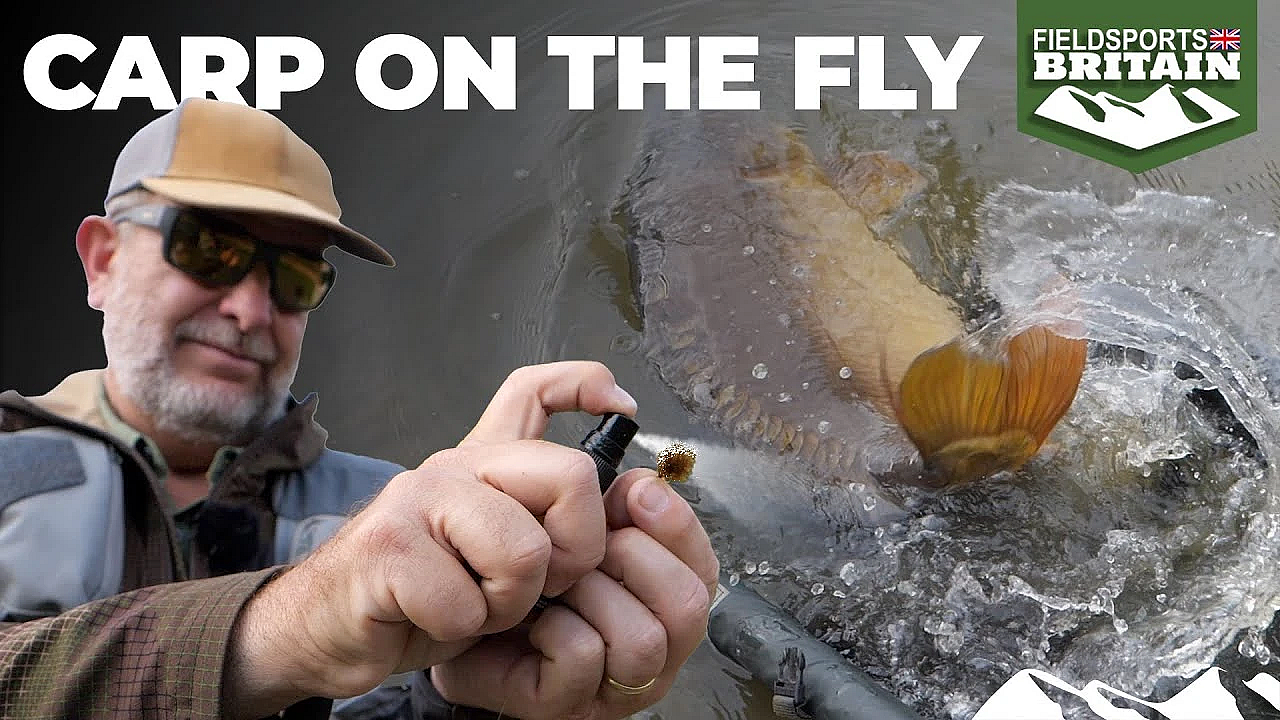Carp On The Fly