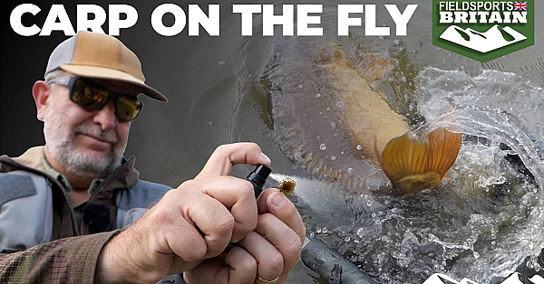 Carp On The Fly