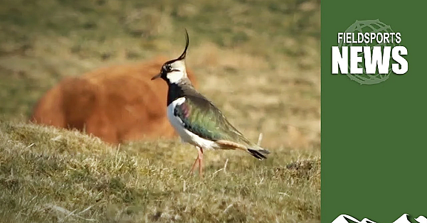 Will Boris's Biodiversity Boost Work?