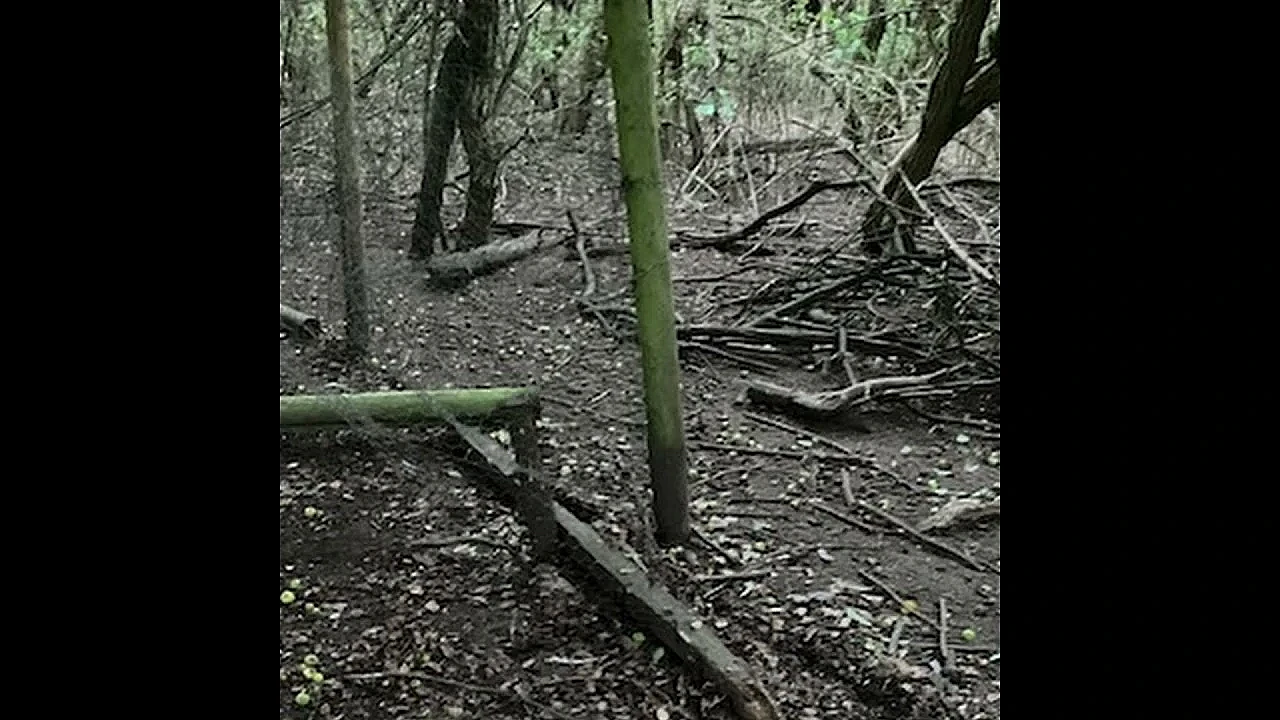 Activists claim pheasant pen and high seat sabotage