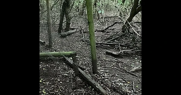 Activists claim pheasant pen and high seat sabotage