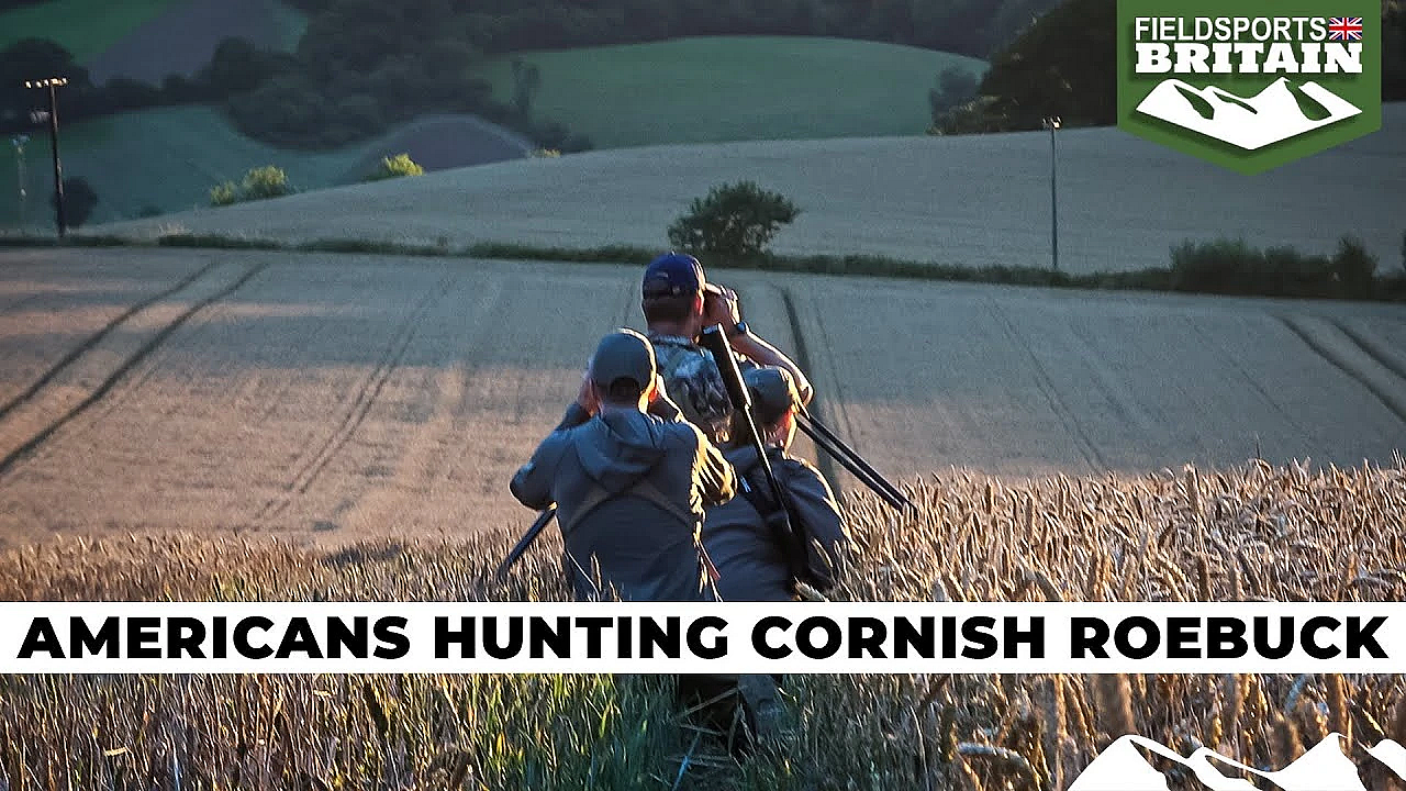 Americans Hunting Roebuck