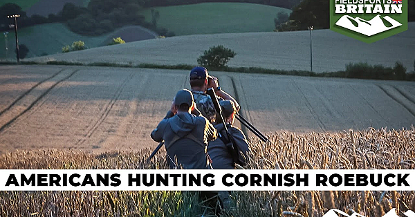 Americans Hunting Roebuck