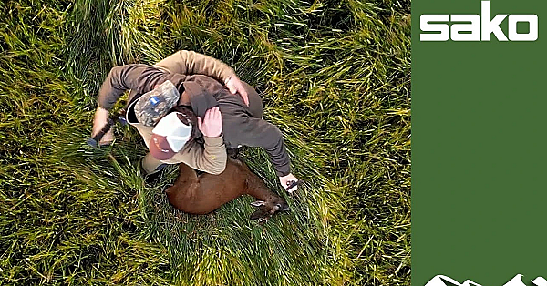 Aerial Roebuck Reaction To A Shot