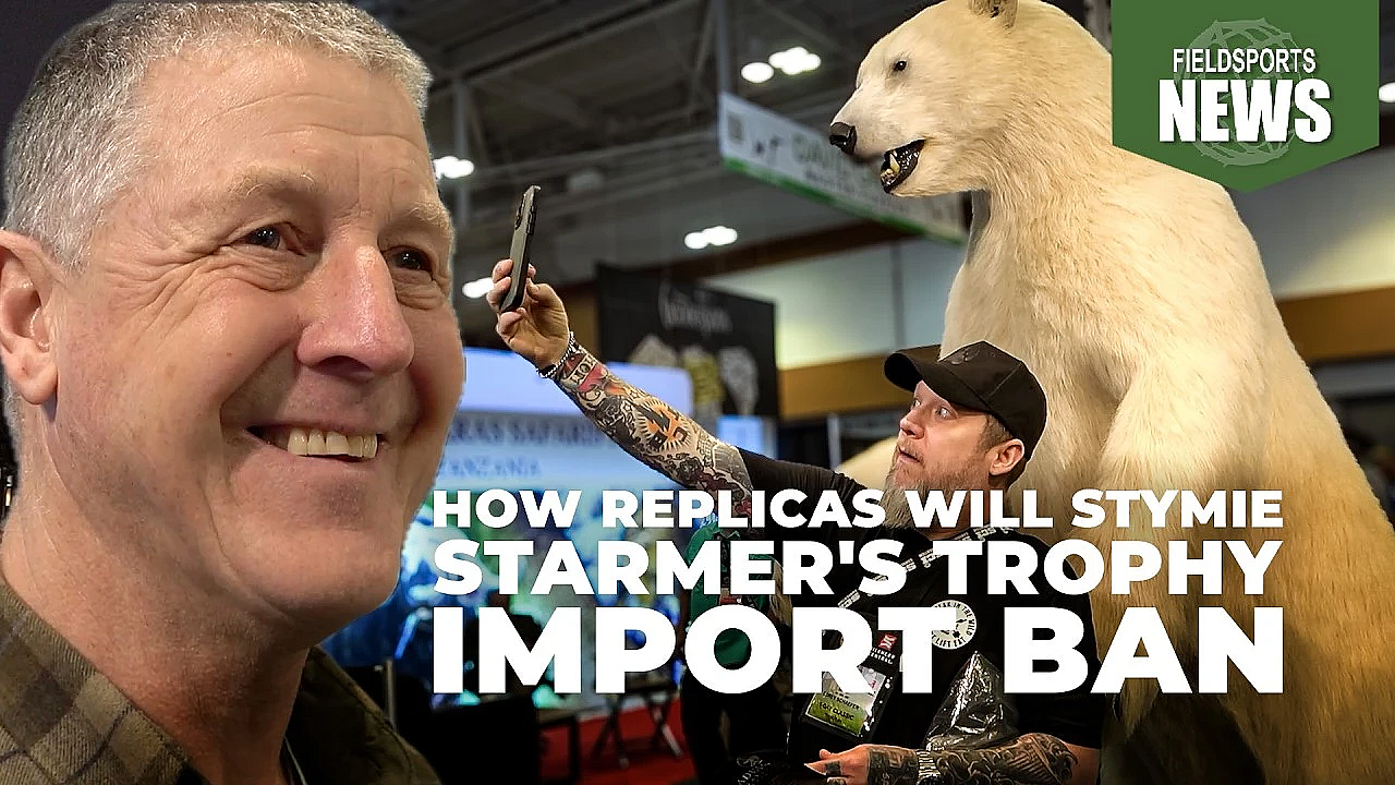 How Replicas Will Stymie Starmer's Trophy Import Ban