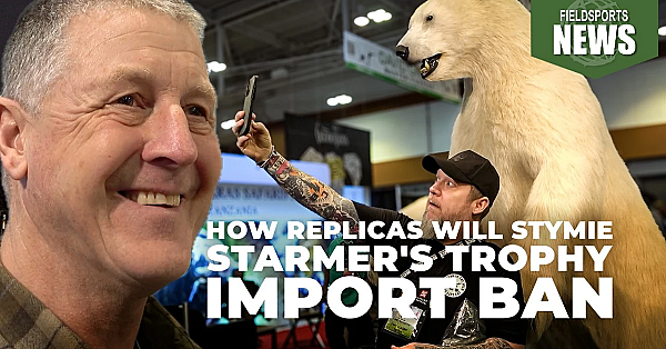 How Replicas Will Stymie Starmer's Trophy Import Ban