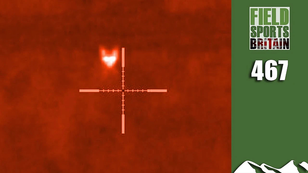 Fieldsports Britain - Hot Foxing