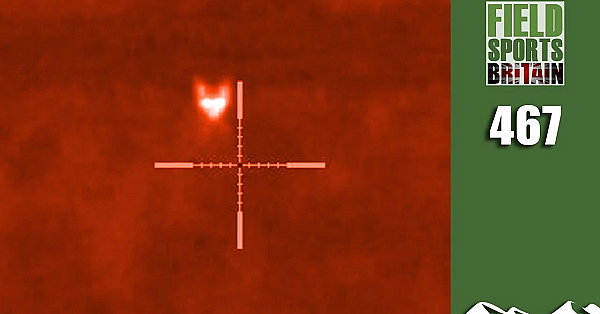 Fieldsports Britain - Hot Foxing