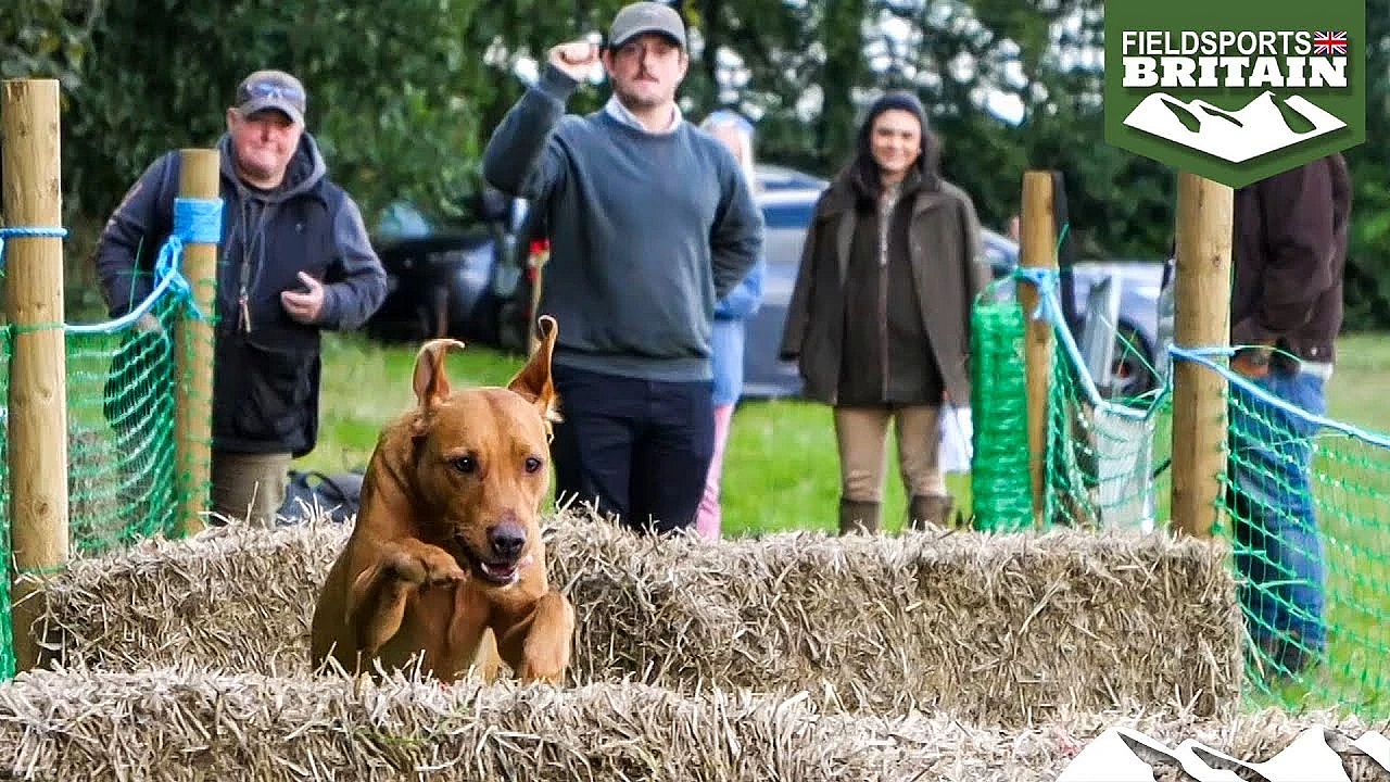 Hampshire Countryside Day 2024