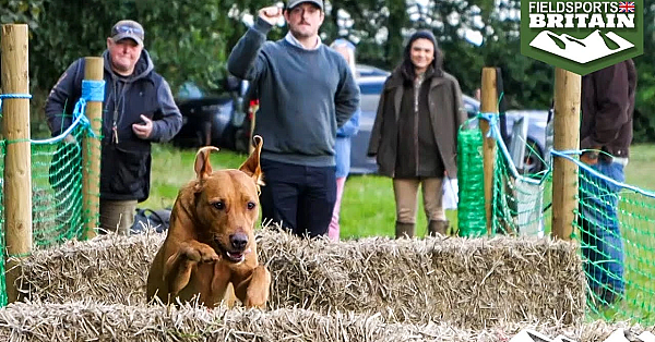 Hampshire Countryside Day 2024
