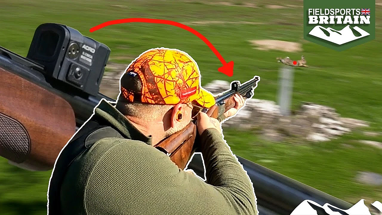 Bolting Bunny Bedlam