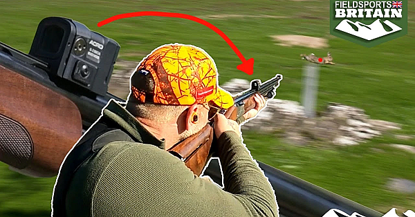 Bolting Bunny Bedlam