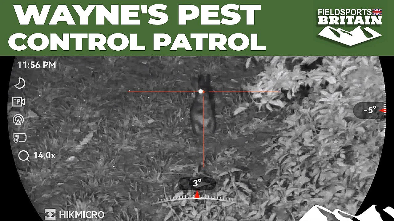 Wayne's Pest Control Patrol
