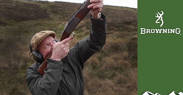 High Pheasants: Sweet Lamb Shoot
