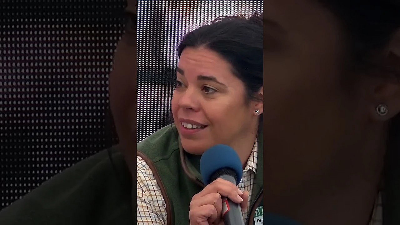 It’s A Grim Time For Deer And Other Animals In #scotland  #fieldsportsbritain