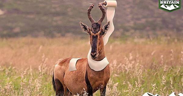 How To Track A Hartebeest With A Loo Roll