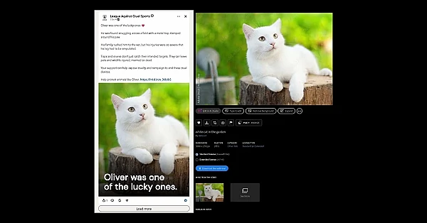 An AI stock image in an animal welfare campaign?