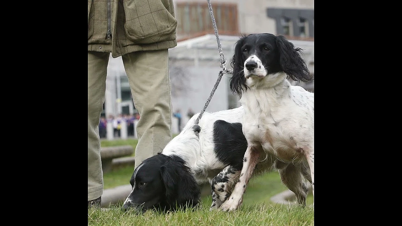 Gamekeepers call for right-to-roam review