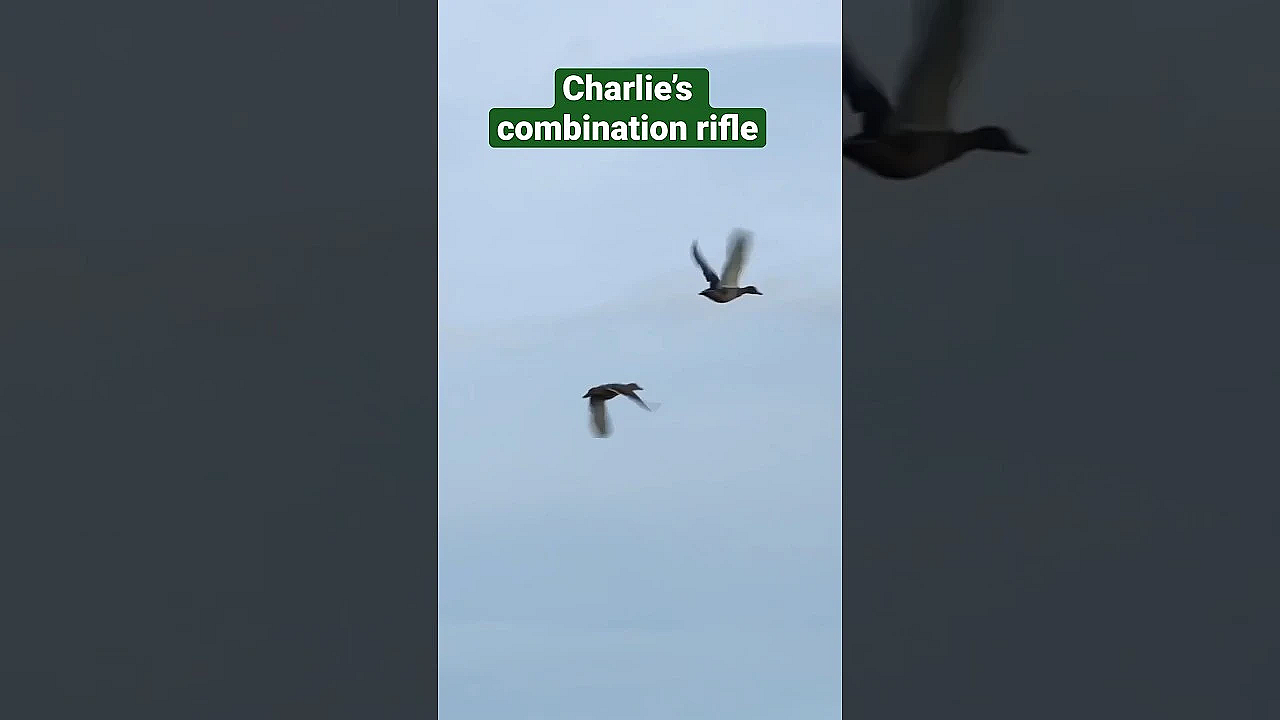 Is Charlie’s Combination Rifle The All-round Gun He Is Looking For? #fieldsportsbritain