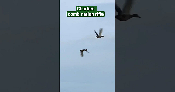Is Charlie’s Combination Rifle The All-round Gun He Is Looking For? #fieldsportsbritain