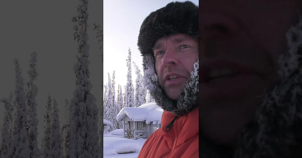 Paul Is After Capercaillie In To Swedish Lapland #hunting #fieldsportsbritain