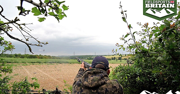 Geoff Garrod Builds A Pigeon Pattern From Scratch