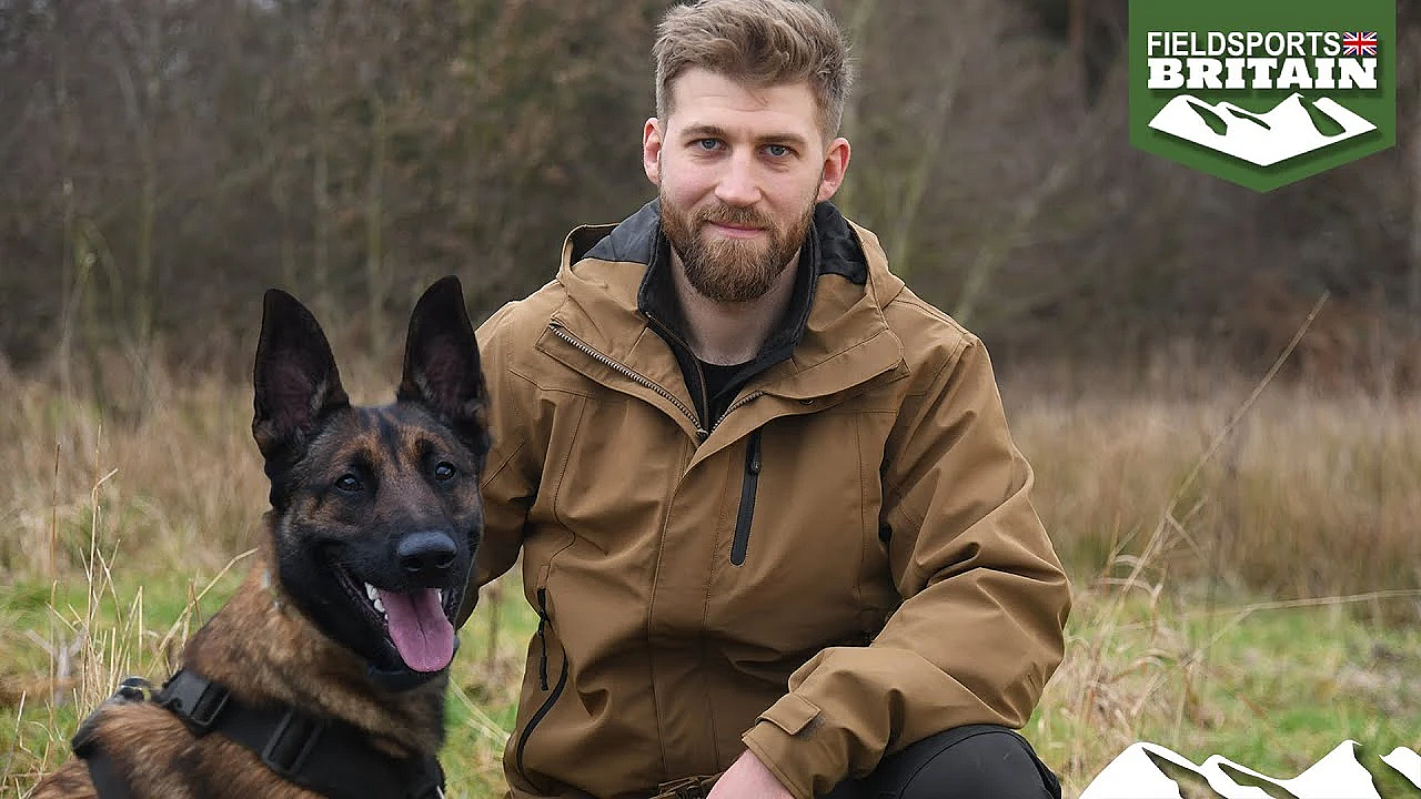 More Than A Working Dog: The Malinois