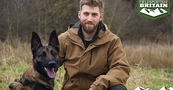 More Than A Working Dog: The Malinois