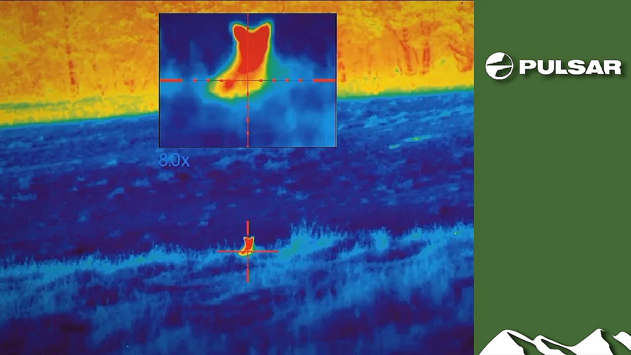 How To Spot Foxes And Deer With Thermal: Practicalities And Pitfalls