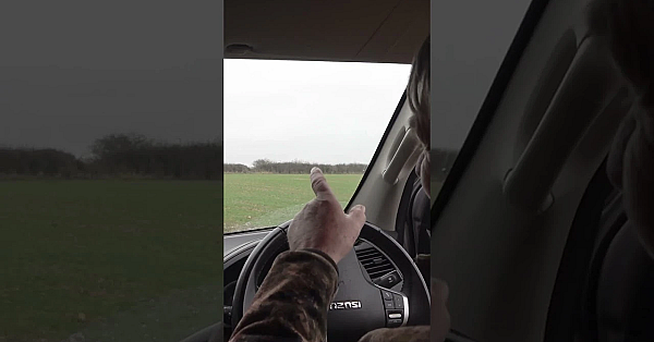 They're After A Roe Doe, But Would Prefer A Muntjac.  #fieldsports #hunting #fieldsportsbritain