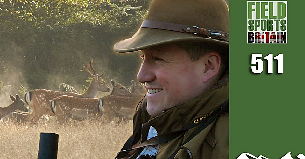 Fieldsports Britain - Roy's Big Deer Cull