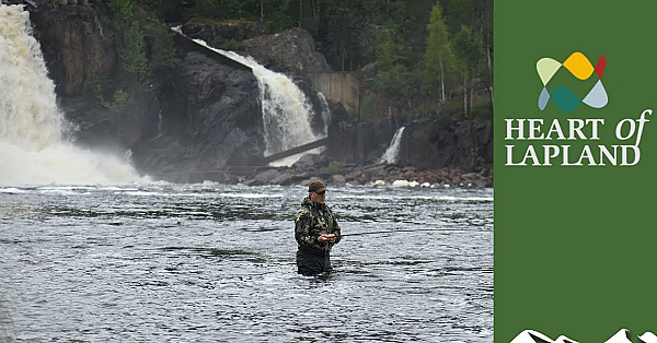 Scottish Vs Swedish Salmon Fishing