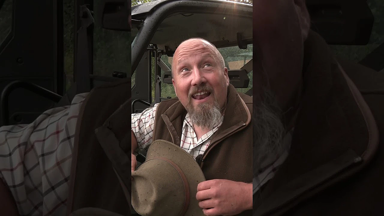 Roy's Roe Rut Dilemma  #fieldsportsbritain #roerut #deerhunting