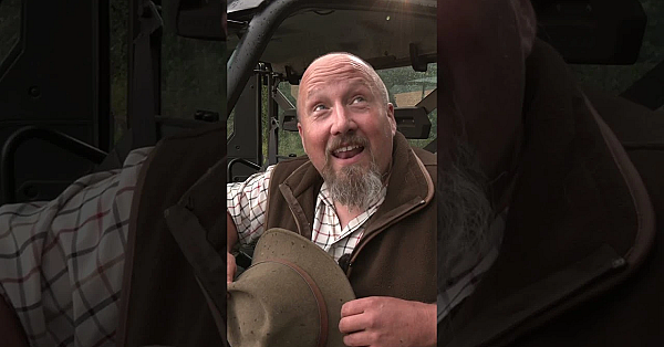 Roy's Roe Rut Dilemma  #fieldsportsbritain #roerut #deerhunting