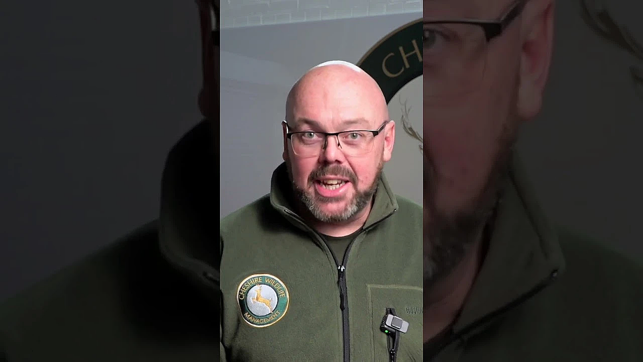 Last Chance! Competition Closes At Midday . . .win A Brand New Pulsar Telos Lrf Xl50 Worth £3969.95