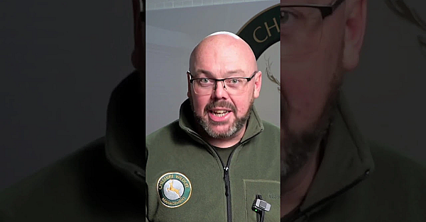 Last Chance! Competition Closes At Midday . . .win A Brand New Pulsar Telos Lrf Xl50 Worth £3969.95