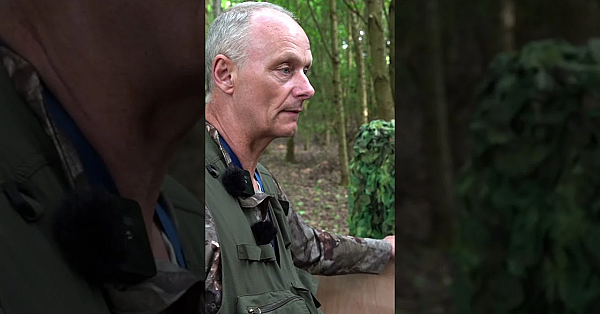 Squirrel Hide With A Door Knocker #squirrel #airguns