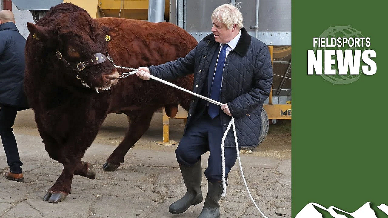 Sentience, Trophies And A Government Muddle Over Animals