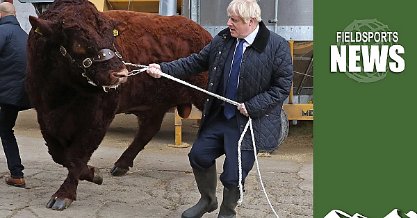 Sentience, Trophies And A Government Muddle Over Animals