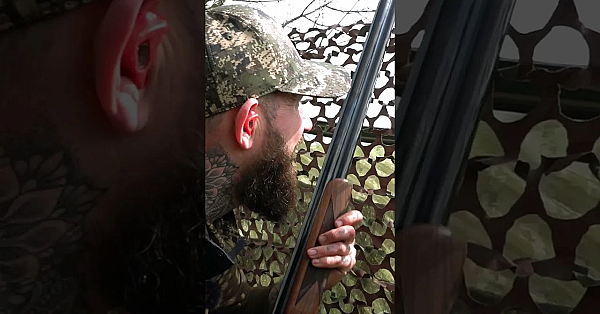 Dan Thor Is #pigeonshooting With A #browning 525 Exquisite